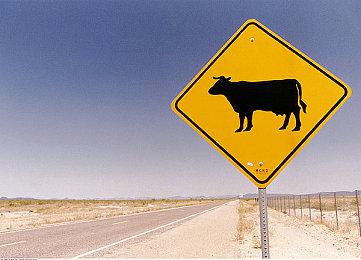 SE：《魔咒之地》的销量一直很低迷